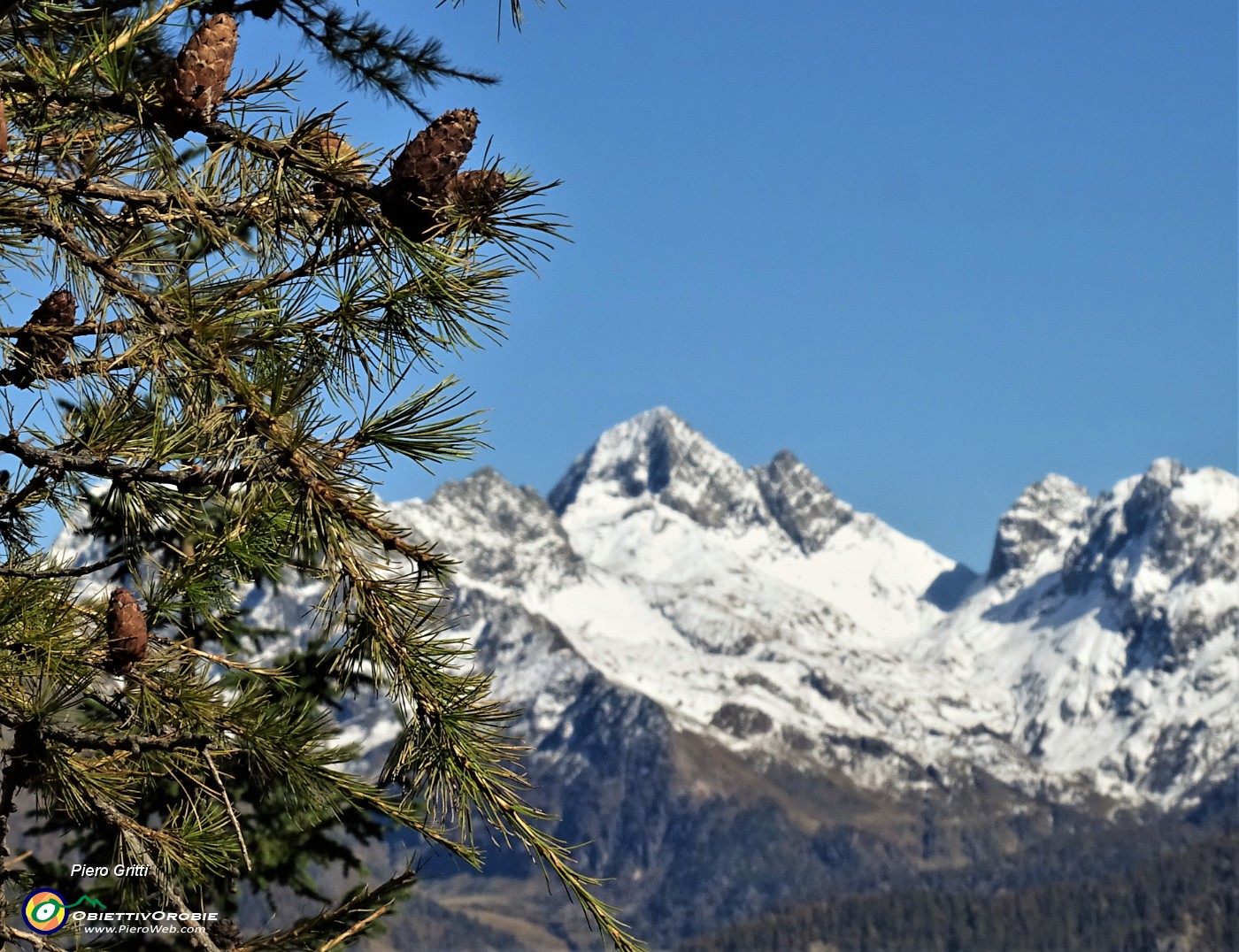 60 Larici colorati d'autunno per il Pizzo del Diavolo imbiancato di neve.JPG